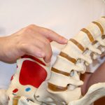 Biomechanical and Subluxation Models of Chiropractic Care are contrasted in Waterloo