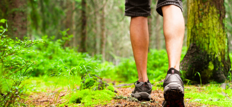 Forest Bathing: A Walk in the Woods May Be Good For Your Health