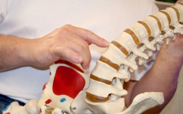 Biomechanical vs Subluxation Model of Chiropractic Care: Which Are You?